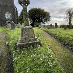 Rattery Snow Drops 1