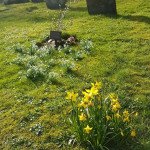 churchyard1