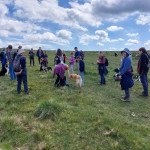 St. Petroc's to St. Petroc's walk